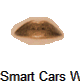Smart Cars We Will See